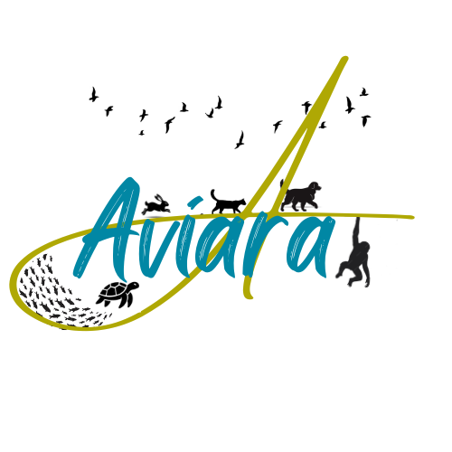 Aviara